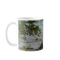 Ft. Myers Beach mugs by Debrene Ft. Myers Beach mugs
