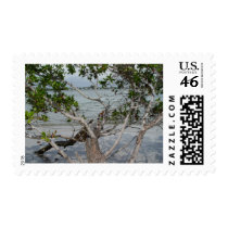 Ft. Myers Beach postage by Debrene Ft. Myers Beach postage