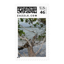 Ft. Myers Beach postage by Debrene Ft. Myers Beach postage