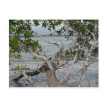 Ft. Myers Beach Postcard