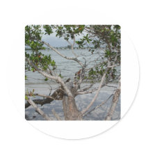 Ft. Myers Beach stickers by Debrene Ft. Myers Beach stickers