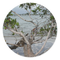 Ft. Myers Beach Round Sticker
