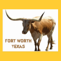 Ft Worth Longhorn Postcard postcards