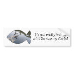 fish, fishing, fubar, hobby, hobbies, sport,
