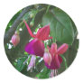 Fuchsia 2