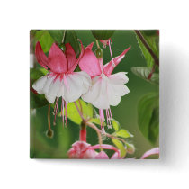 Fuchsia buttons