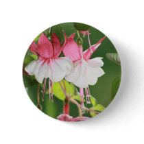 Fuchsia buttons