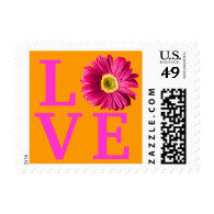 Fuchsia Daisy Flower Love Postage Stamp