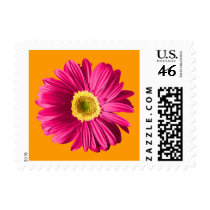 Fuchsia Daisy Flower Stamp