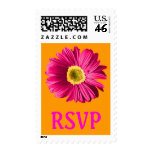 Fuchsia Daisy Flower RSVP Postage