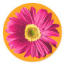 Fuchsia Daisy Flower Sticker