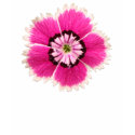 Fuchsia Flower t-shirts