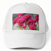 Fuchsia Flowers Hat