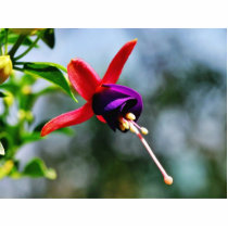 Fuchsia Flowers Purple photo sculptures by lifesphere Fuchsia Flowers Purple photo sculptures