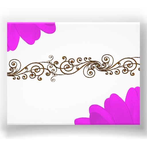 Fuchsia Gerbera Daisies