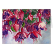 Fuchsia Lore Cards