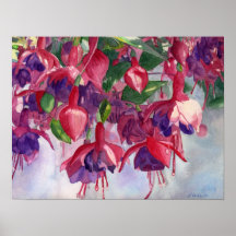 Fuchsia Lore Print