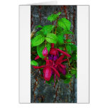 Fuchsia Magenta Long cards