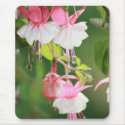 Fuchsia mousepads by knotth Fuchsia mousepads