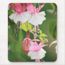 Fuchsia mousepads