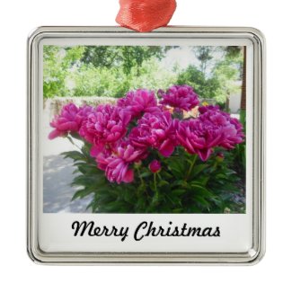 Fuchsia Peony Bush Ornament Square ornament
