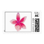 Fuchsia Plumeria Postage Stamp