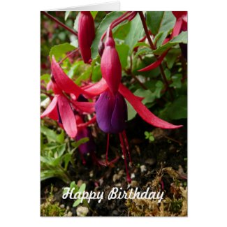Fuchsia Flower Birthday Card Template