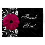 Fuchsia Scroll Gerbera Daisy w/Black and White cards