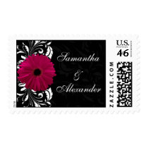 Fuchsia Scroll Gerbera Daisy w/Black and White Postage Stamp