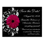 Fuchsia Scroll Gerbera Daisy w/Black and White Postcard