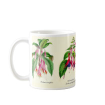 Fuchsia species of Joseph Paxton mugs by Botany_Boy Fuchsia species of Joseph Paxton mugs
