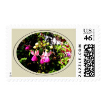 Fuchsia stamps