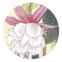 Fuchsia - Sticker