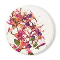 FUCHSIAS I magnets