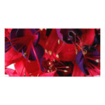FUCHSIAS I PHOTO CARD TEMPLATE