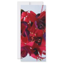 FUCHSIAS I rack cards by MEANMAGENTA FUCHSIAS I rack cards
