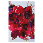 FUCHSIAS I STATIONERY