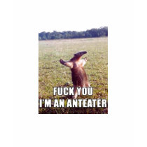 fuck You Im An Anteater Animal t-shirts by Kefalas fuck You Im An Anteater Animal t-shirts