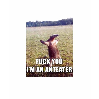 fuck You Im An Anteater Animal Tshirts by Kefalas