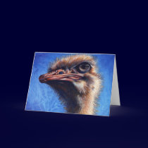 Fugley Ostrich Greeting Card