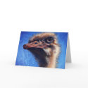 Fugley Ostrich Greeting Card