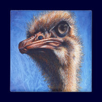 Fugley Ostrich Magnet