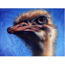 Fugley Ostrich Photo Sculpture photo sculptures