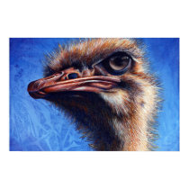 Fugley Ostrich Print