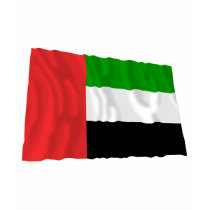 Fujairah Waving Flag t-shirts