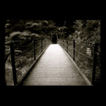 Fukoroda Falls Bridge posters