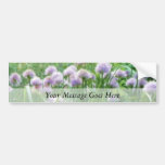 Full Bloom - Chive Flowers Bumper Stickers