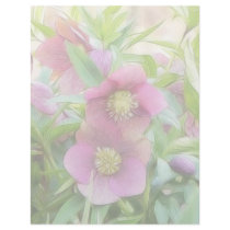 Full Bloom - Hellebores! Personalized Letterhead