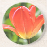 Full Bloomed Tulip Coasters