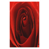 Full Color Classic Red Rose Stationery by SialiciousStationary Full Color Classic Red Rose Stationery